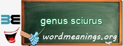 WordMeaning blackboard for genus sciurus